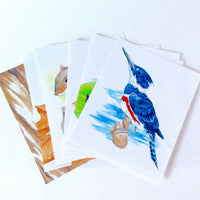 Family Music for Preschoolers CD + Parent Book + Game Cards